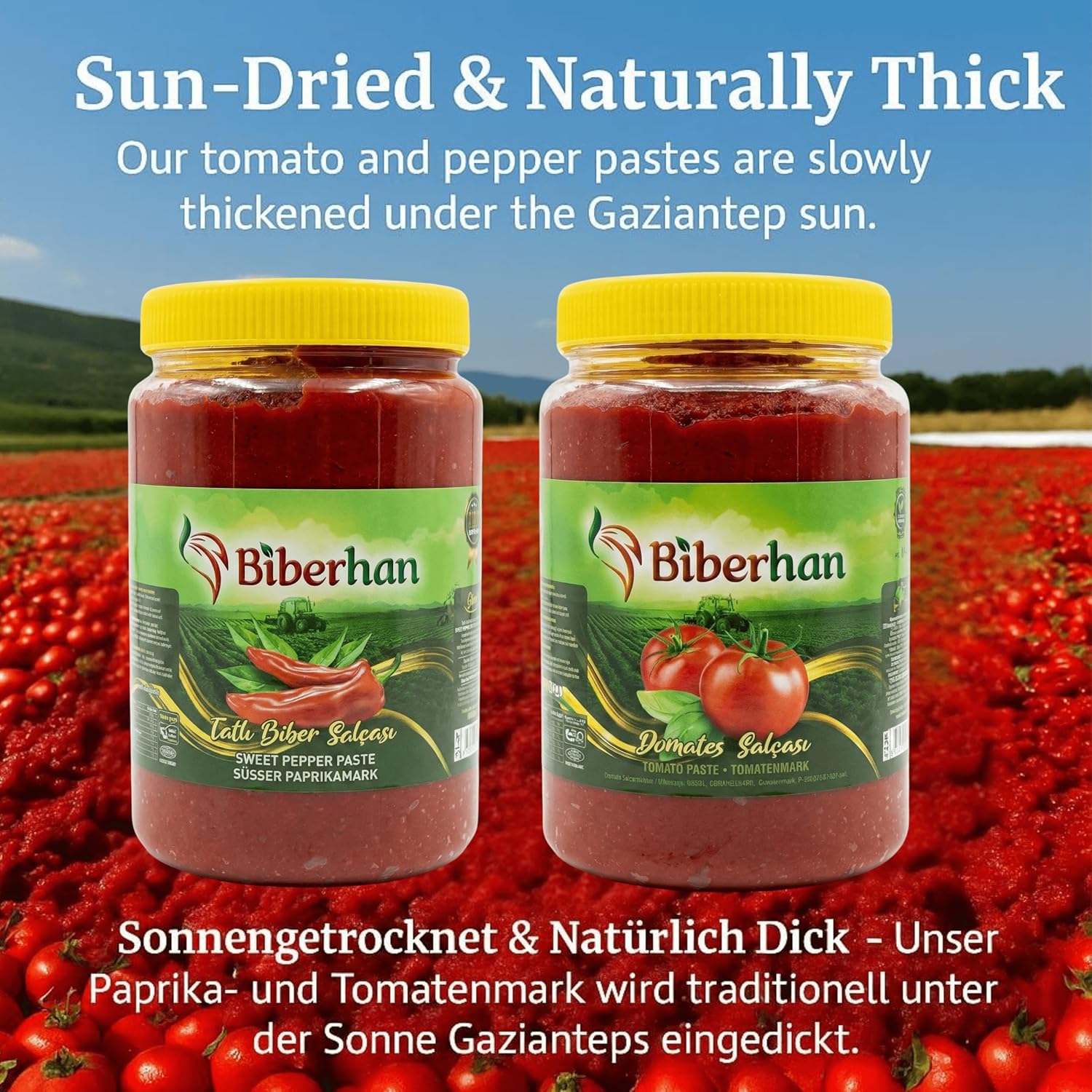 Biberhan Tomatenmark – Bild 4